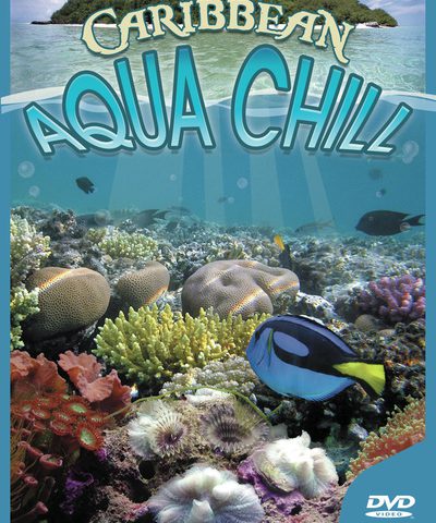 AquaChillVol.2
